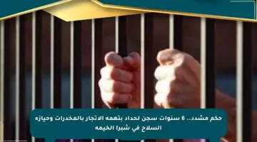 حكم مشدد.. 6 سنوات سجن لحداد بتهمة الاتجار بالمخدرات وحيازة السلاح في شبرا الخيمة